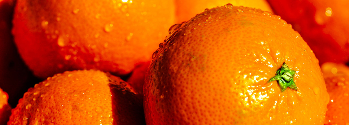 短信在线压测平台